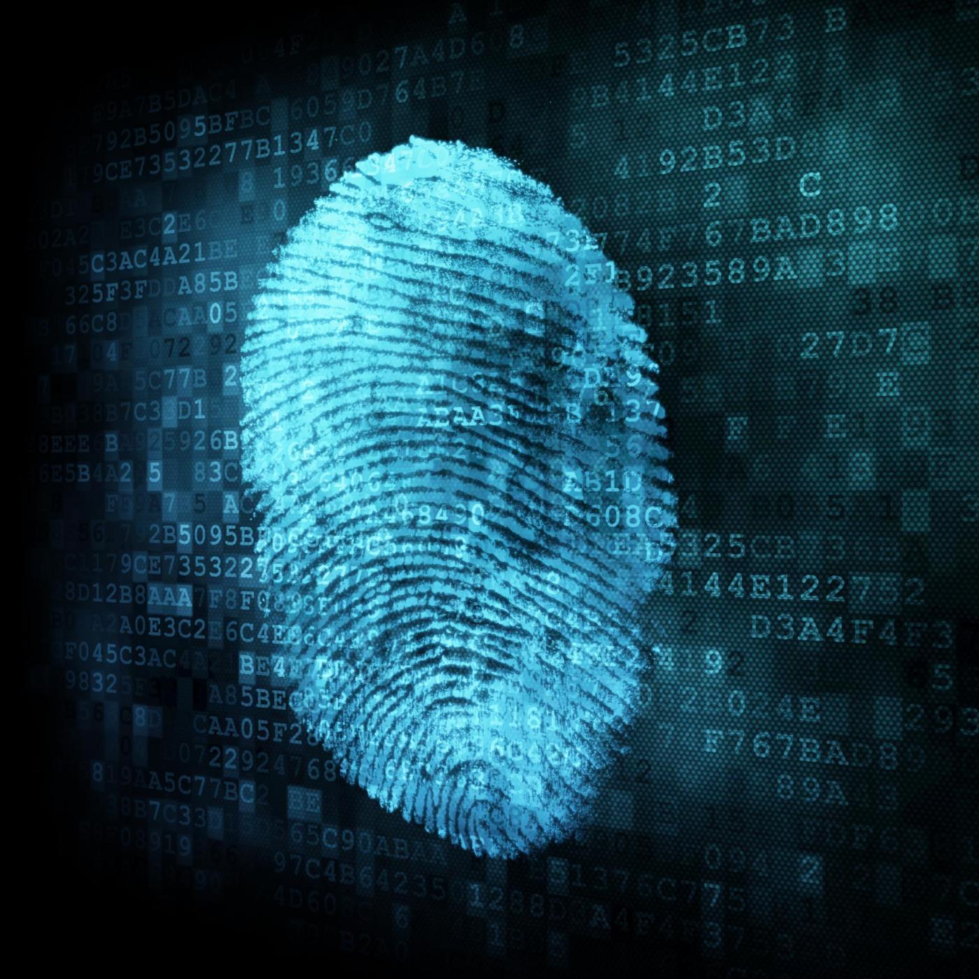 Fingerprint detection