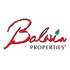 Balwin-prop